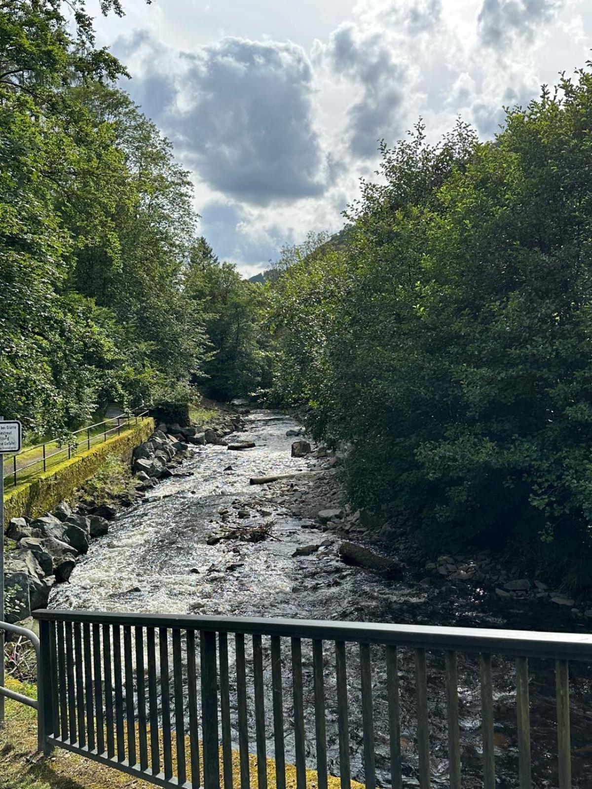 Ferienbutzen Harz Heikenberg, Bad Lauterberg Mit Schwimmbad Und Sauna Zewnętrze zdjęcie