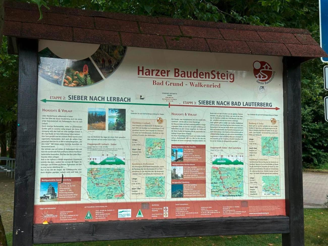 Ferienbutzen Harz Heikenberg, Bad Lauterberg Mit Schwimmbad Und Sauna Zewnętrze zdjęcie